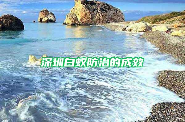 深圳白蚁防治的成效