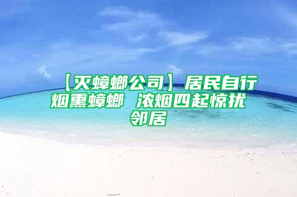 【灭蟑螂公司】居民自行烟熏蟑螂 浓烟四起惊扰邻居