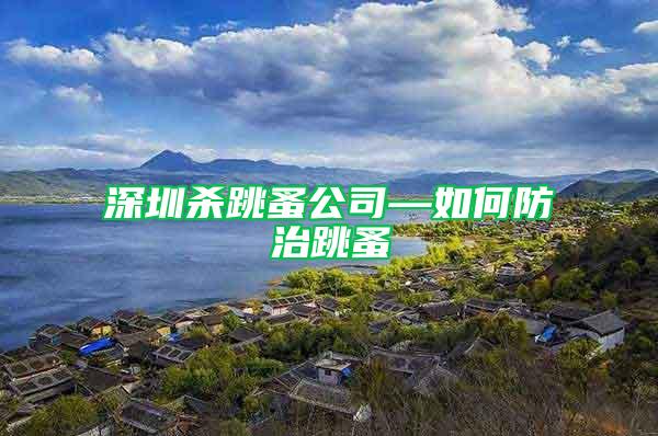 深圳杀跳蚤公司—如何防治跳蚤