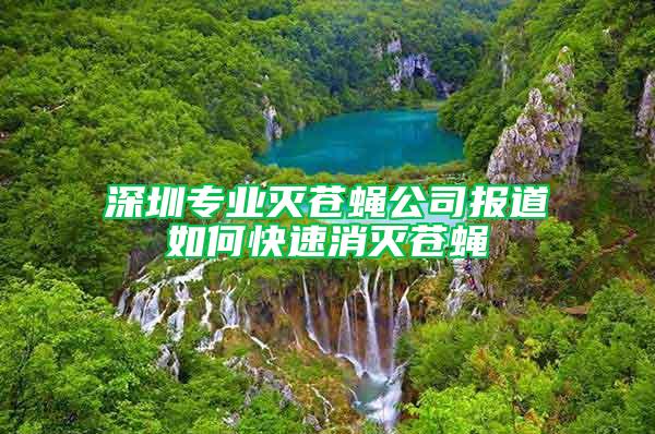 深圳专业灭苍蝇公司报道如何快速消灭苍蝇