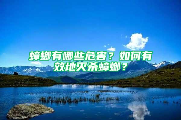 蟑螂有哪些危害？如何有效地灭杀蟑螂？