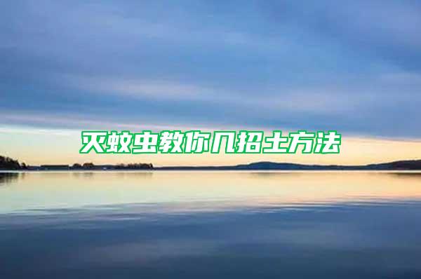 灭蚊虫教你几招土方法