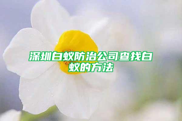 深圳白蚁防治公司查找白蚁的方法