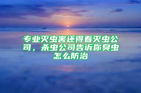 专业灭虫害还得看灭虫公司，杀虫公司告诉你臭虫怎么防治