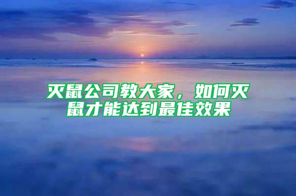 灭鼠公司教大家，如何灭鼠才能达到最佳效果