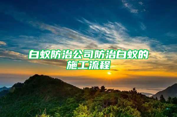 白蚁防治公司防治白蚁的施工流程