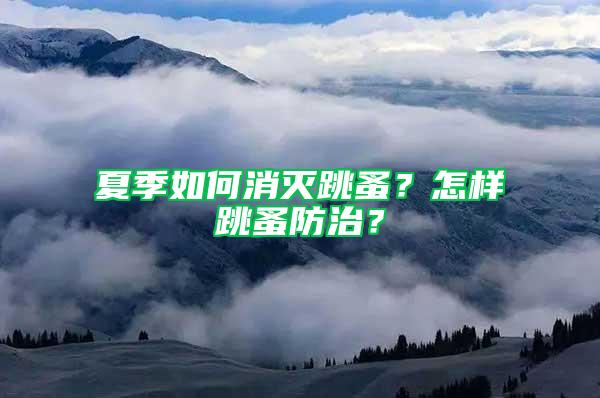 夏季如何消灭跳蚤？怎样跳蚤防治？