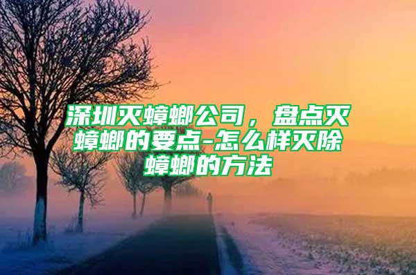 深圳灭蟑螂公司，盘点灭蟑螂的要点-怎么样灭除蟑螂的方法