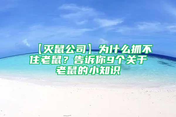 【灭鼠公司】为什么抓不住老鼠？告诉你9个关于老鼠的小知识