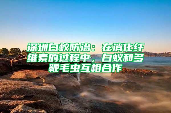 深圳白蚁防治：在消化纤维素的过程中，白蚁和多鞭毛虫互相合作