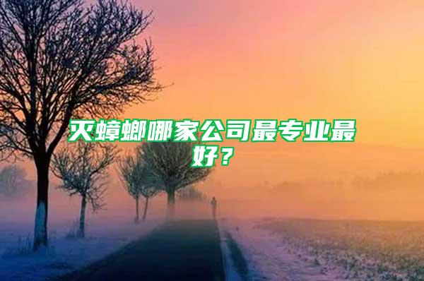 灭蟑螂哪家公司最专业最好？