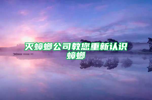 灭蟑螂公司教您重新认识蟑螂