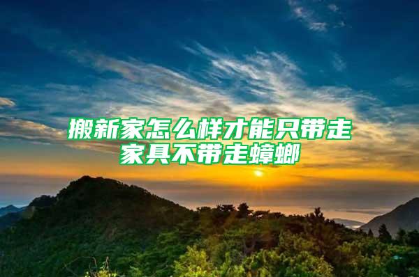 搬新家怎么样才能只带走家具不带走蟑螂