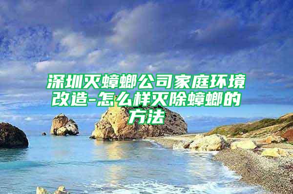 深圳灭蟑螂公司家庭环境改造-怎么样灭除蟑螂的方法