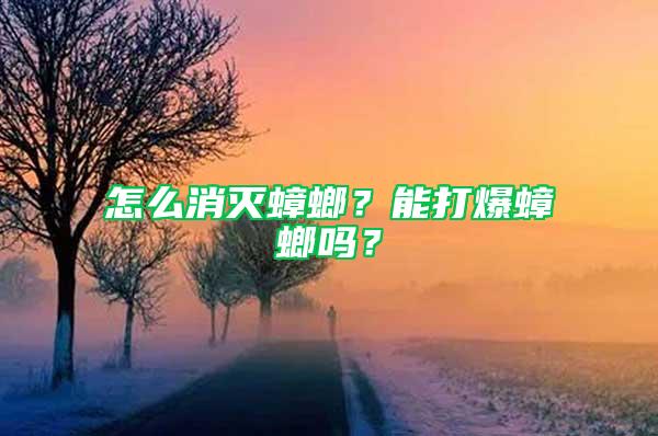 怎么消灭蟑螂？能打爆蟑螂吗？