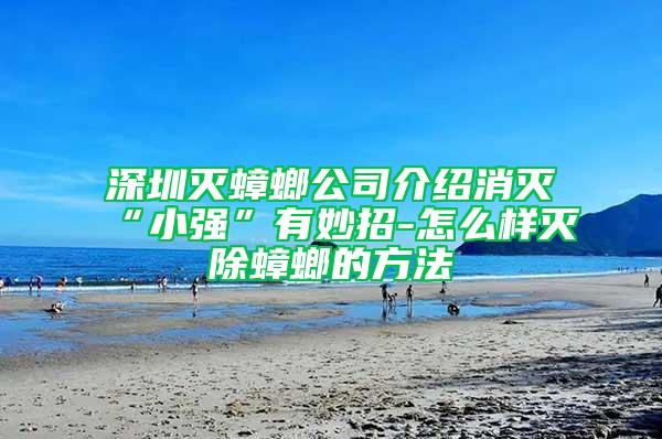 深圳灭蟑螂公司介绍消灭“小强”有妙招-怎么样灭除蟑螂的方法