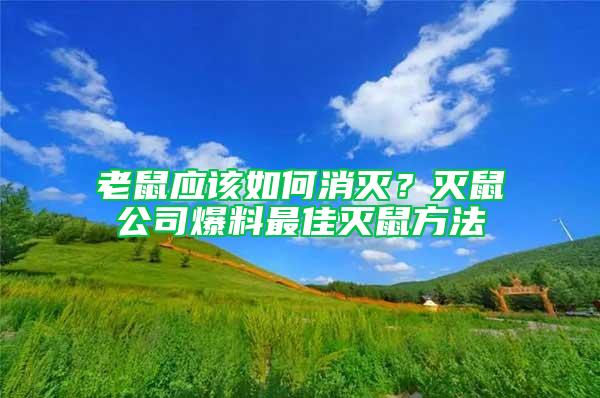 老鼠应该如何消灭？灭鼠公司爆料最佳灭鼠方法