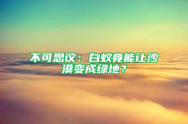 不可思议：白蚁竟能让沙漠变成绿地？