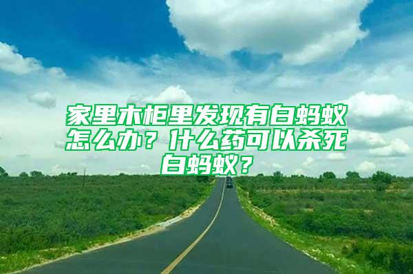 家里木柜里发现有白蚂蚁怎么办？什么药可以杀死白蚂蚁？