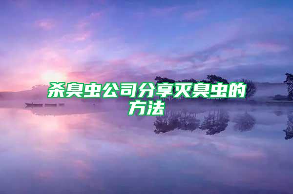 杀臭虫公司分享灭臭虫的方法