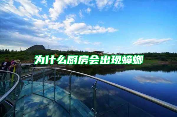 为什么厨房会出现蟑螂
