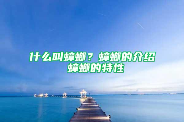 什么叫蟑螂？蟑螂的介绍 蟑螂的特性