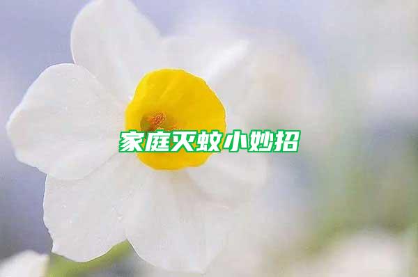 家庭灭蚊小妙招