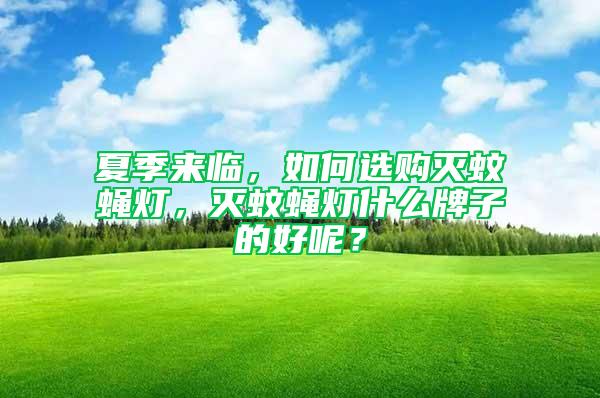 夏季来临，如何选购灭蚊蝇灯，灭蚊蝇灯什么牌子的好呢？