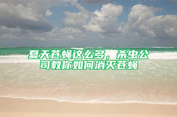 夏天苍蝇这么多，杀虫公司教你如何消灭苍蝇