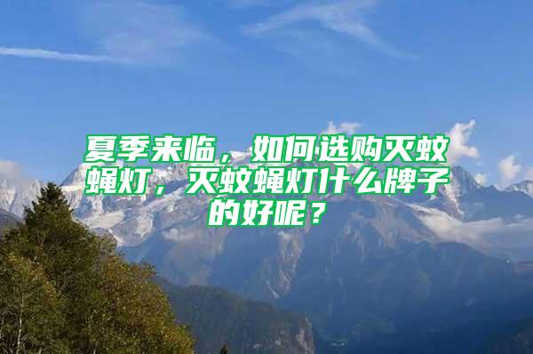 夏季来临，如何选购灭蚊蝇灯，灭蚊蝇灯什么牌子的好呢？