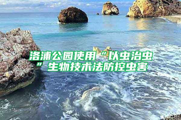 洛浦公园使用“以虫治虫”生物技术法防控虫害