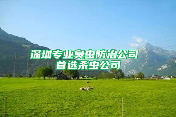 深圳专业臭虫防治公司 首选杀虫公司