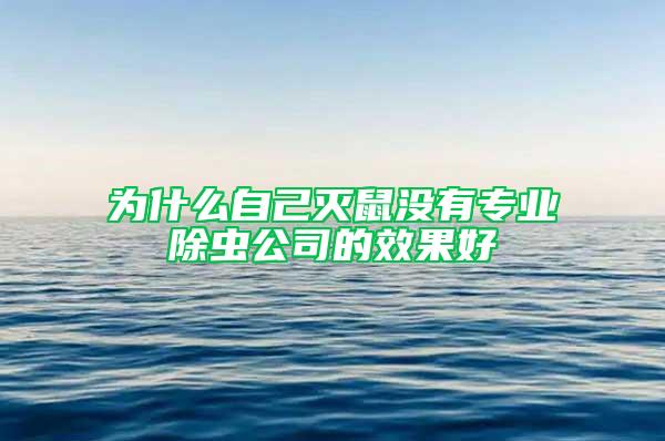 为什么自己灭鼠没有专业除虫公司的效果好