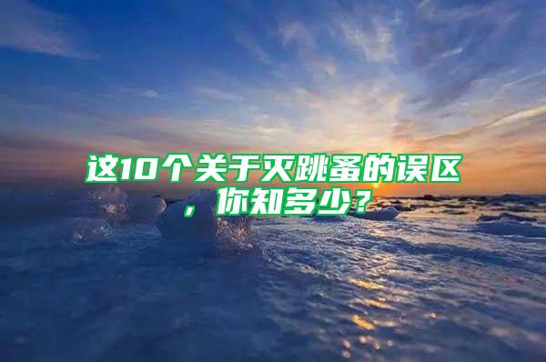 这10个关于灭跳蚤的误区，你知多少？