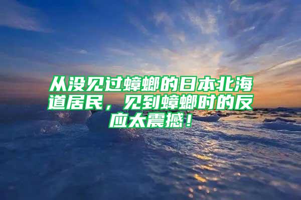 从没见过蟑螂的日本北海道居民，见到蟑螂时的反应太震撼！