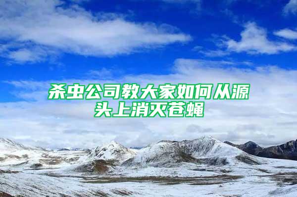 杀虫公司教大家如何从源头上消灭苍蝇