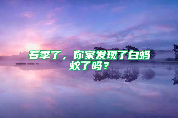 春季了，你家发现了白蚂蚁了吗？