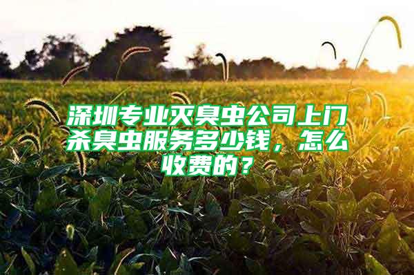 深圳专业灭臭虫公司上门杀臭虫服务多少钱，怎么收费的？