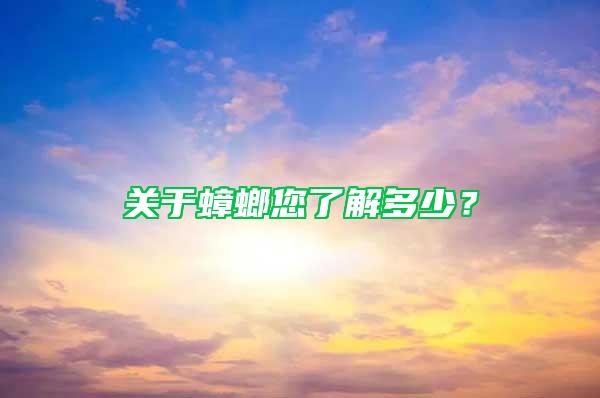 关于蟑螂您了解多少？