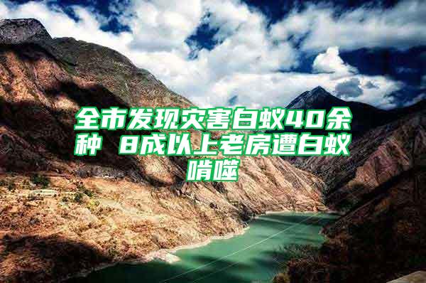 全市发现灾害白蚁40余种 8成以上老房遭白蚁啃噬