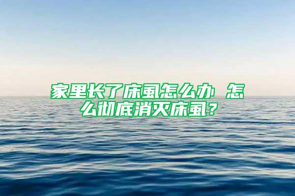 家里长了床虱怎么办 怎么彻底消灭床虱？