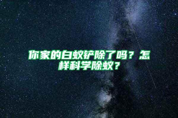 你家的白蚁铲除了吗？怎样科学除蚁？