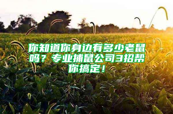 你知道你身边有多少老鼠吗？专业捕鼠公司3招帮你搞定！