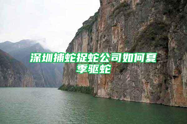 深圳捕蛇捉蛇公司如何夏季驱蛇