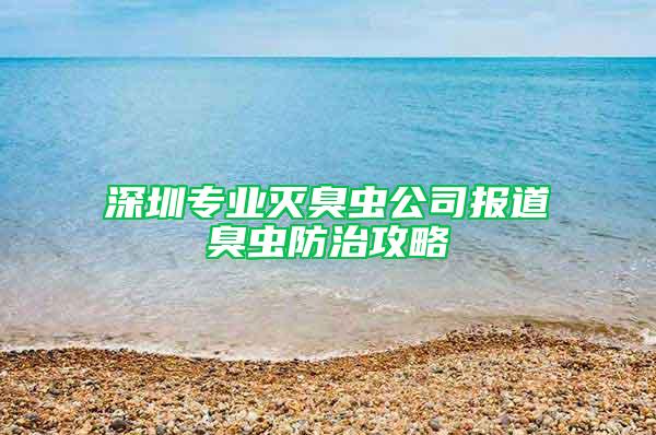 深圳专业灭臭虫公司报道臭虫防治攻略