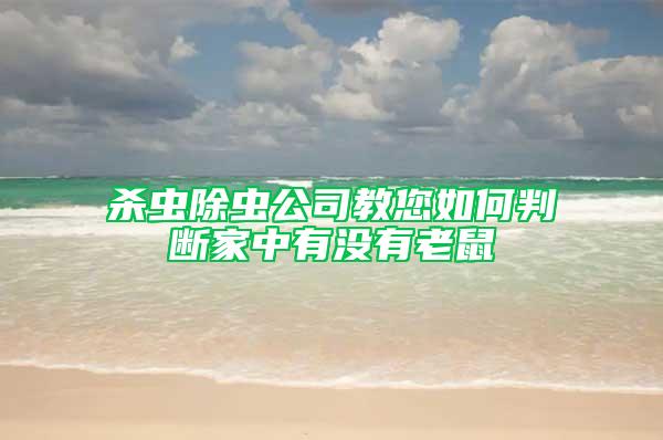 杀虫除虫公司教您如何判断家中有没有老鼠