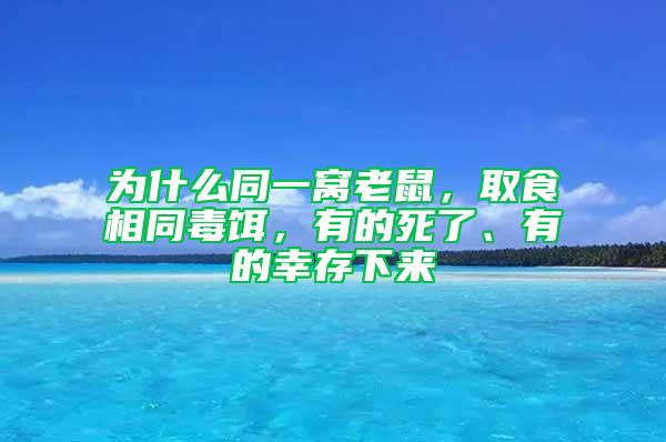 为什么同一窝老鼠，取食相同毒饵，有的死了、有的幸存下来