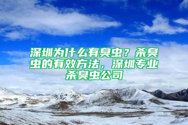 深圳为什么有臭虫？杀臭虫的有效方法，深圳专业杀臭虫公司