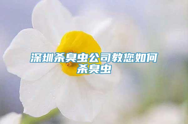 深圳杀臭虫公司教您如何杀臭虫