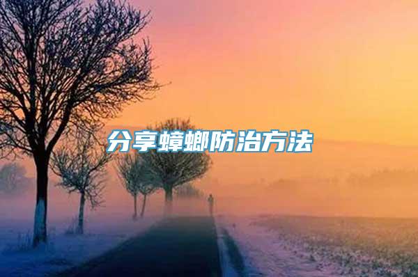 分享蟑螂防治方法